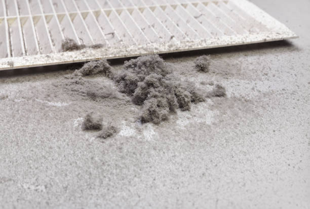 Best Ductwork Cleaning Services  in Vernon, TX