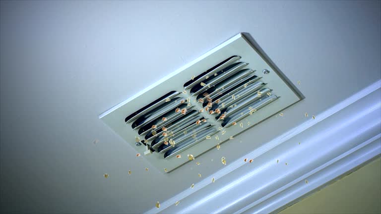 Best Air Duct Cleaning Company Near Me  in Vernon, TX