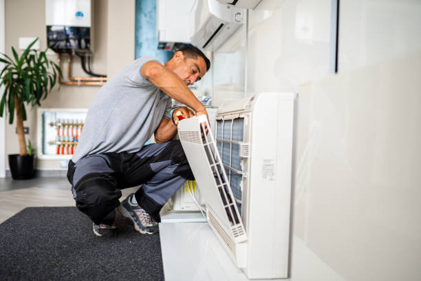 Best Air Duct Mold Removal  in Vernon, TX