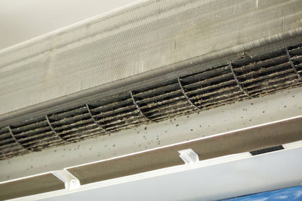 Best Professional Duct Cleaning Services  in Vernon, TX