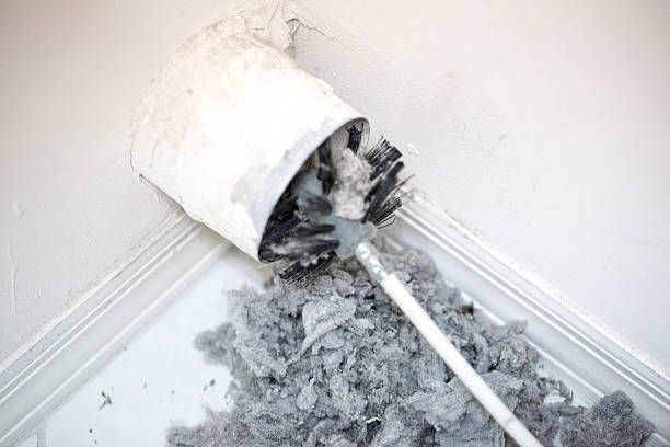 Best Affordable Duct Cleaning Services  in Vernon, TX